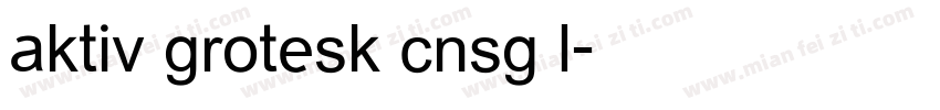 aktiv grotesk cnsg l字体转换
